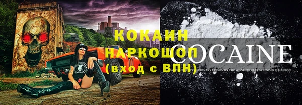 гашик Аркадак