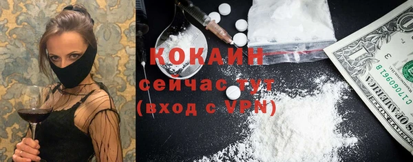 гашик Аркадак