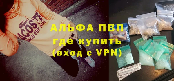 гашик Аркадак