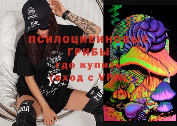 гашик Аркадак